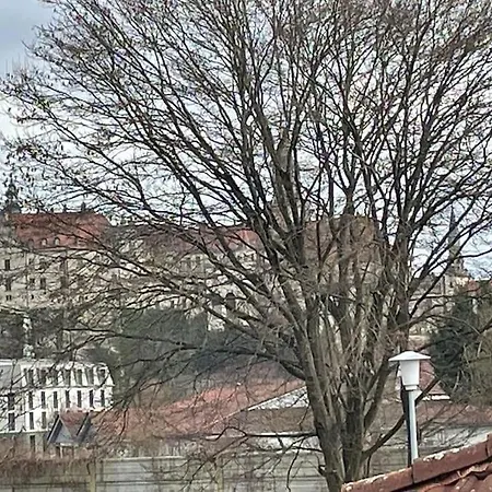 Apartment Stadtmitte Mit Schlossblick