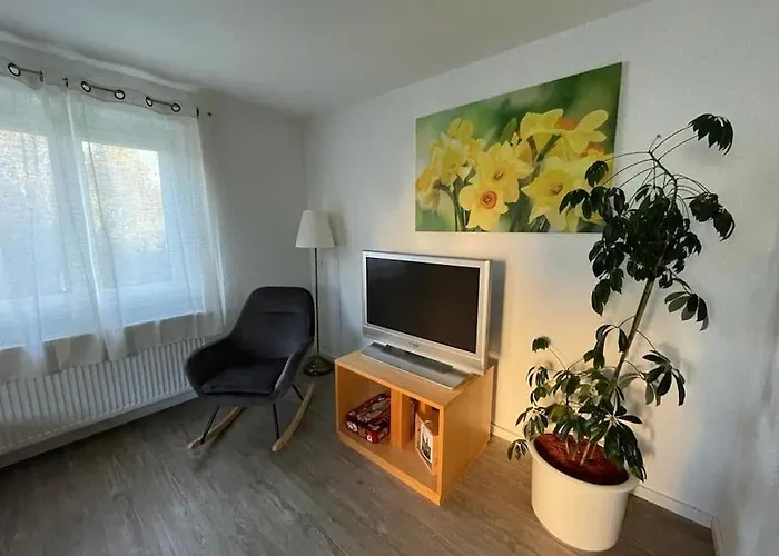 Stadtmitte Mit Schlossblick ジクマリンゲン